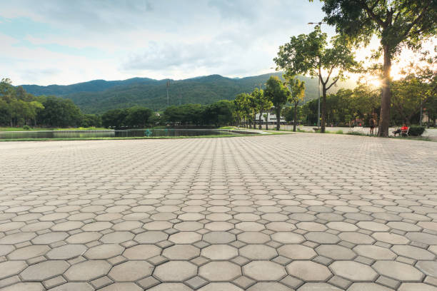 Best Driveway Pavers Cost  in Ozona, TX